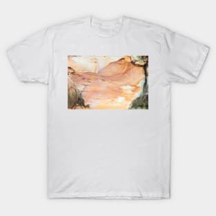 Beautiful old stone patterns T-Shirt